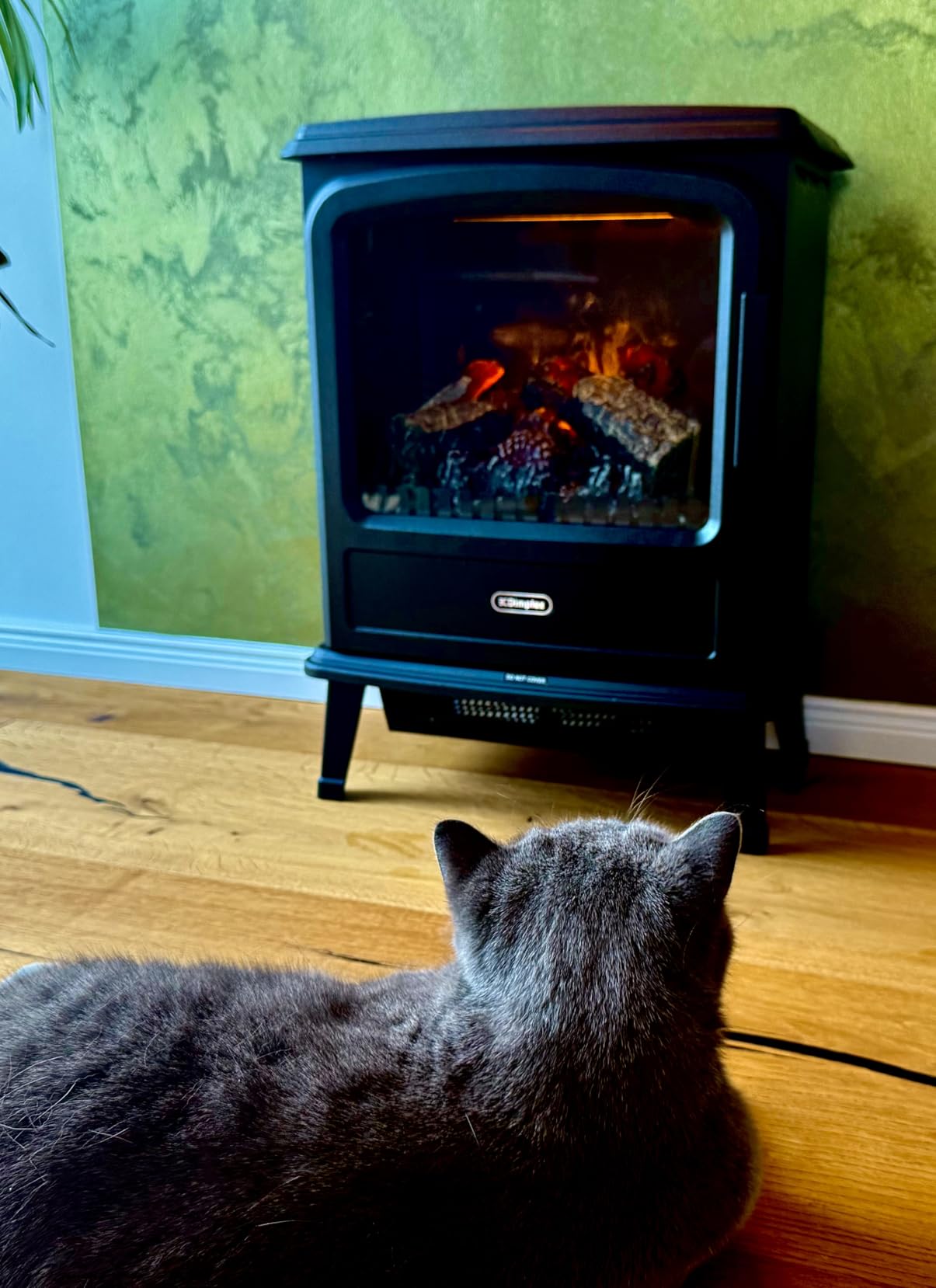 Schönes Feuer