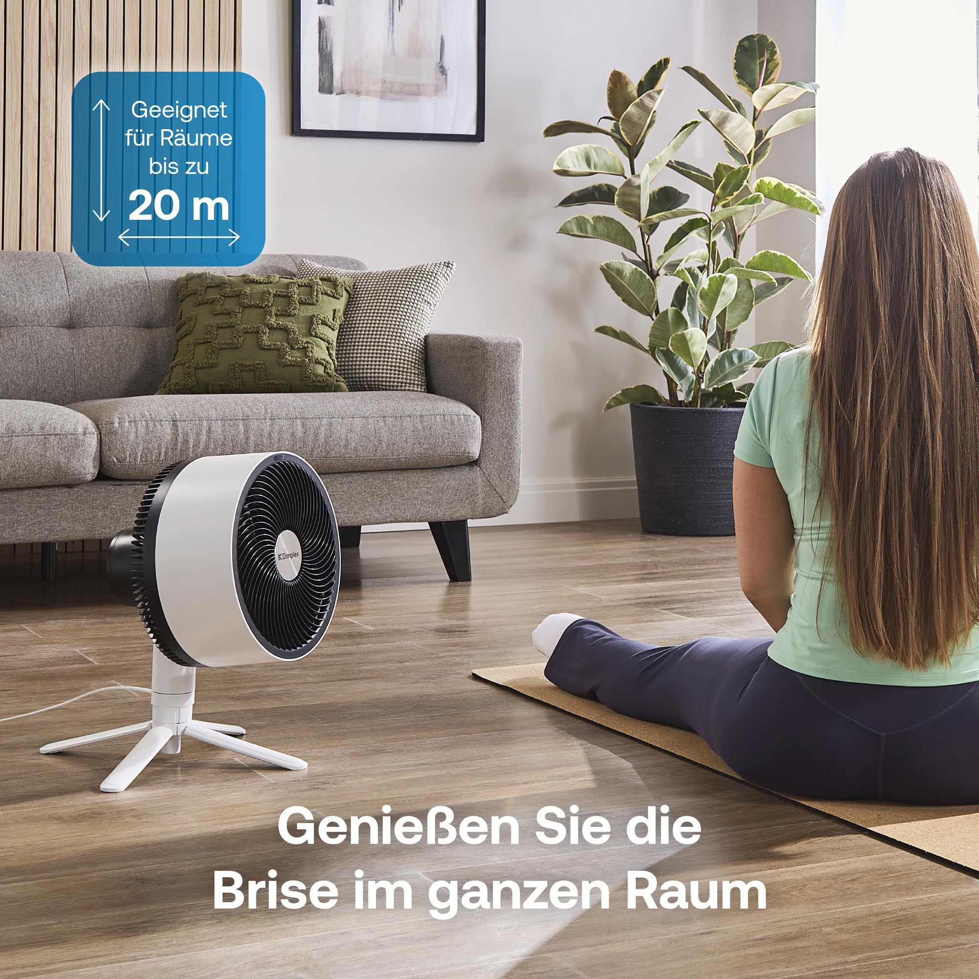 dimplex-duocool-ventilator-2-in-1-stand-tisch-20m-app image 3